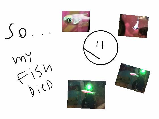 my fish…..