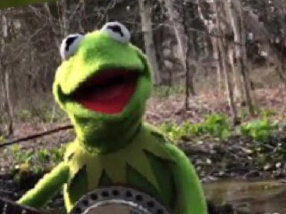 Kermit  1