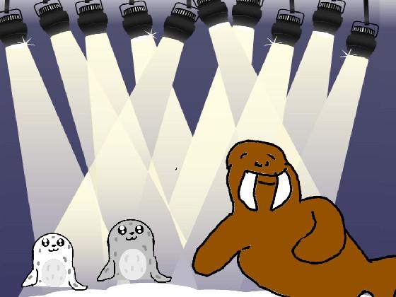 Seals and Walrus 1