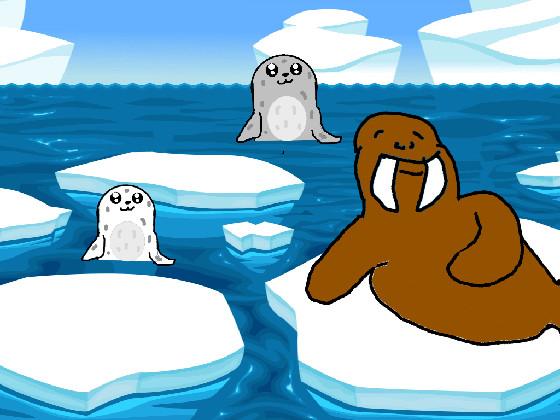 Seals and Walrus 1