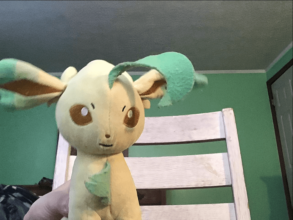 My leafeon animation 