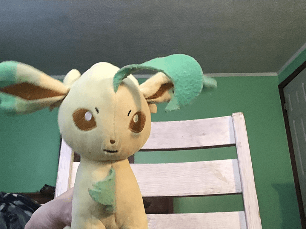 My leafeon animation