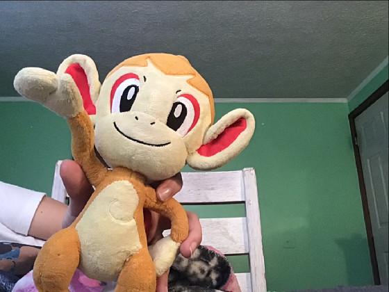 Chimchar rolled