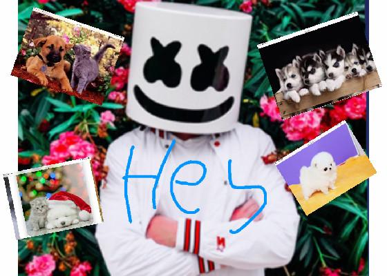 MARSHMELLO Happier song 1 1 1 - copy 1 1 1