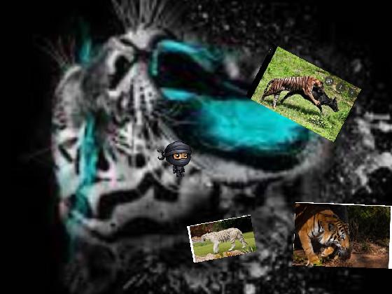 existing rare tigers