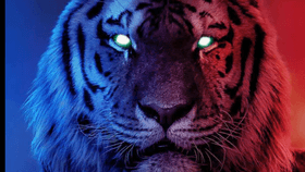 Tiger (AA Games)