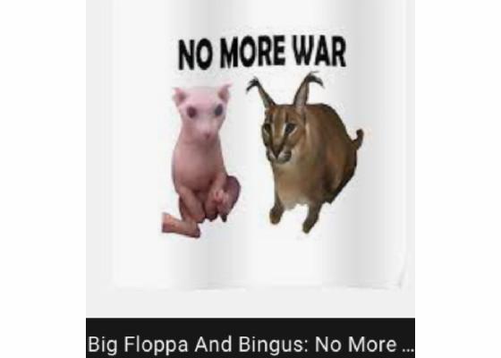 THE WAR FLOPPA AND BINGUS 1