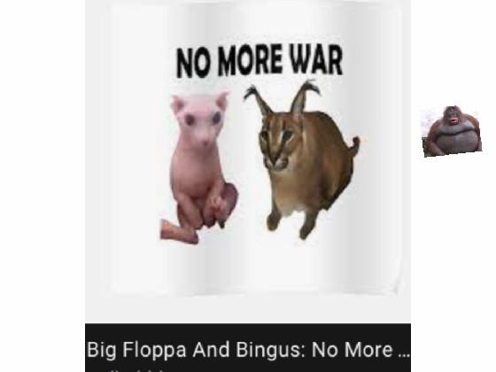 THE WAR FLOPPA AND BINGUS 2