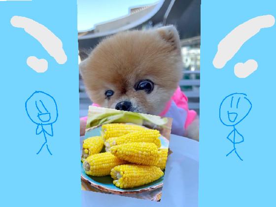 ITS CORN! jiffpom 1