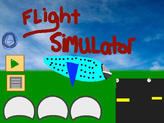 Flight Simulator 1