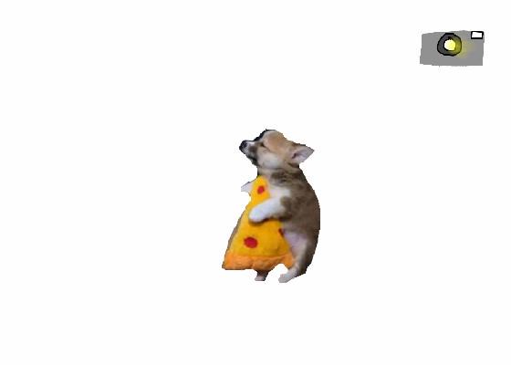 Pizza Dog Spinner