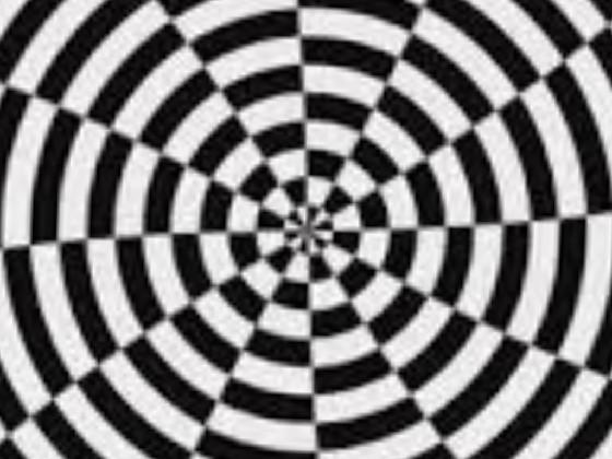 The Best Optical illusion