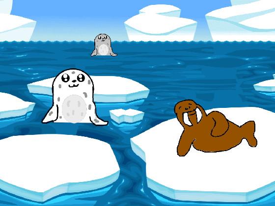 Seals and Walrus 1