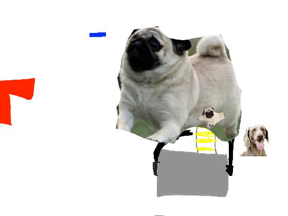 pug  please no ban