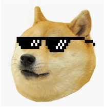 dogeminer 4: doge evolution!