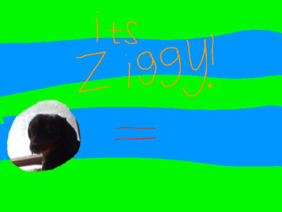 Its Ziggy!!!