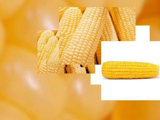 corn