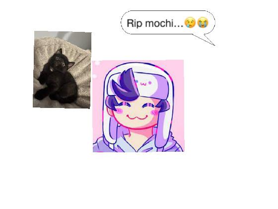 rip mochi…