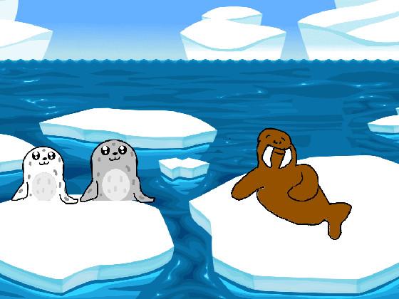 Seals and Walrus !