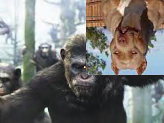 apes