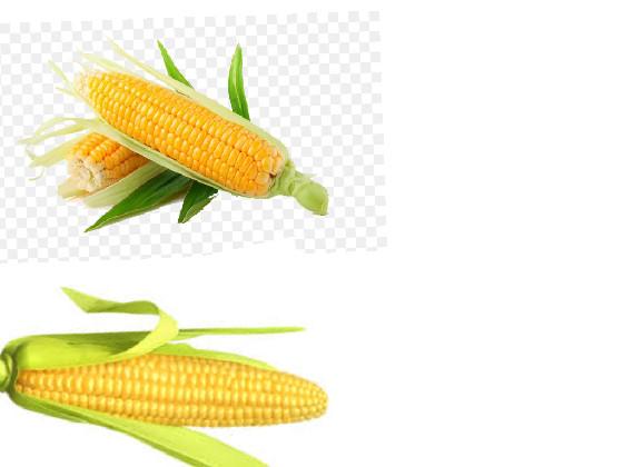 iT’S cOrN 1