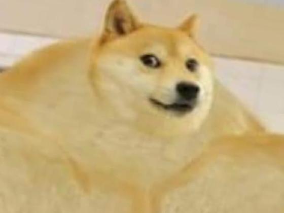 BUFF DOGE 1