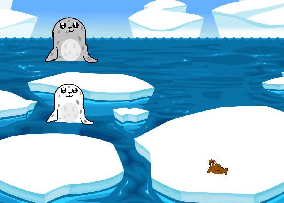 Seals and Walrus 1