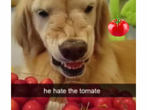 i hate tomate