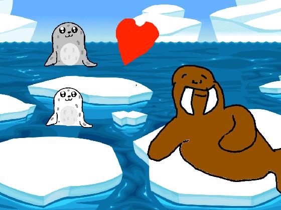 Seals and Walrus