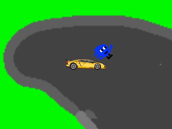 Sonic Racer (New Map) 1 1