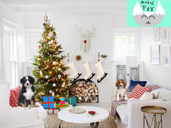 christmas with dogs