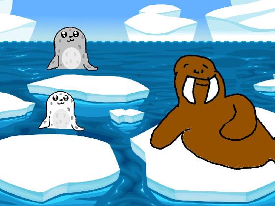 Seals and Walrus 1