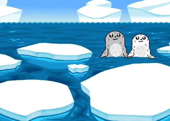 Seals and Walrus 1