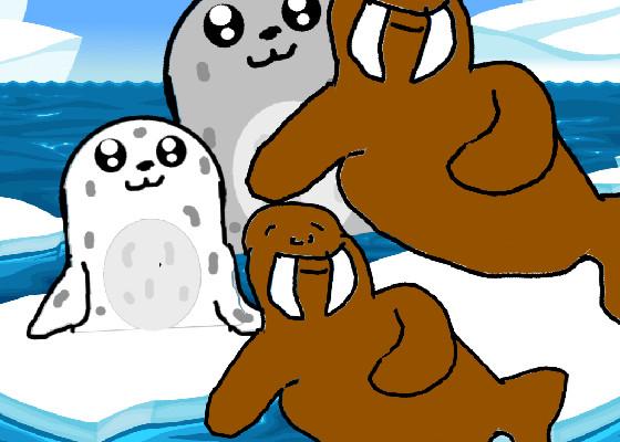 Seals and Walrus 1