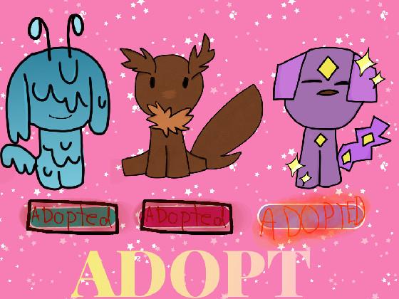 Adoption Center :3 1