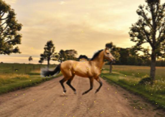 old town road   1 1