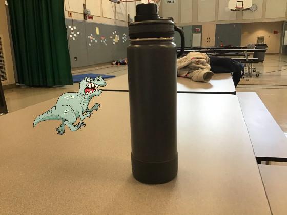 The Water bottle game - copy