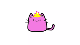 pink princess kitten