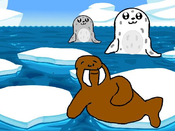 Seals and Walrus2