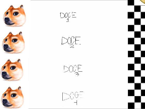 Doge Race…