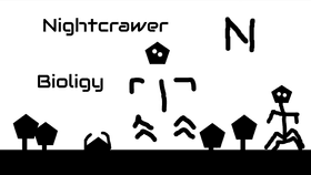 Nightcrawer Bioligy