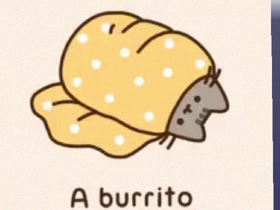 BURRITO 1