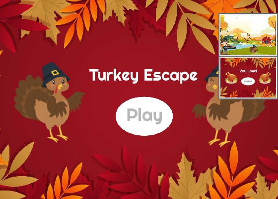 Turkey Escape