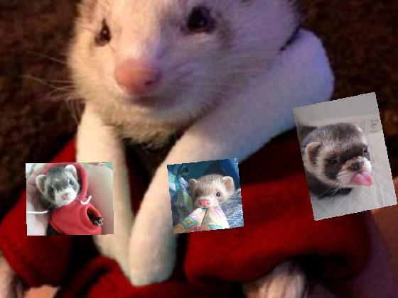 ferrit town!