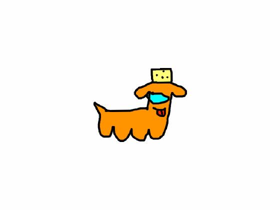 Mr.cheese’s dog cheddar