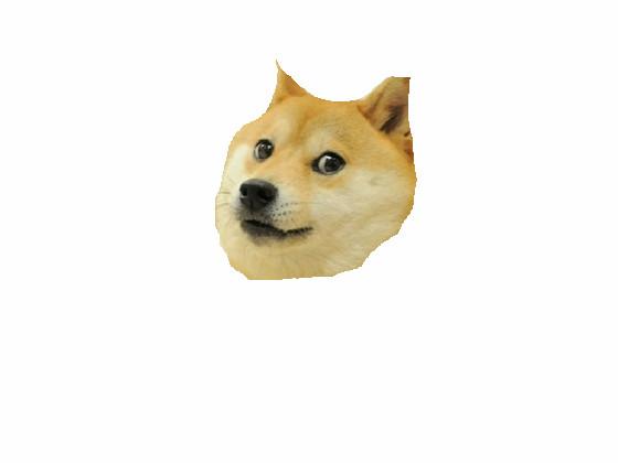 doge snake 2.0