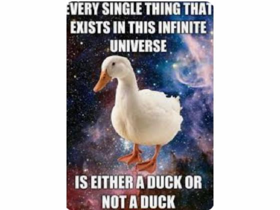 duck memes