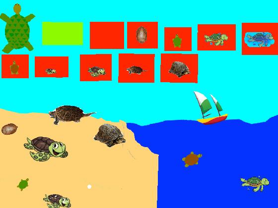 Turtle Clicker! 1