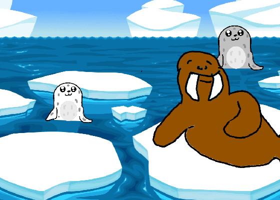 Seals and Walrus 1