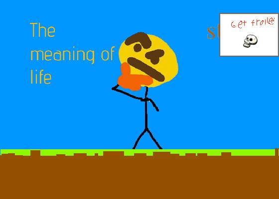 the meaning of life